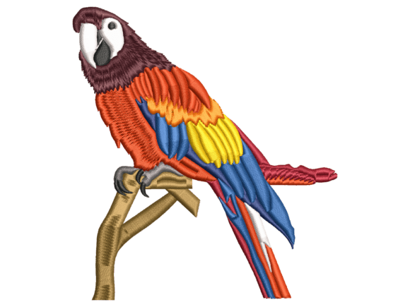 Scarlet Macaw Bird Embroidery: A Sellerβs Review